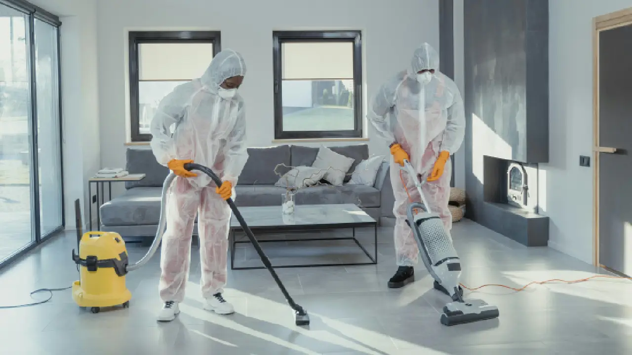 Hygiene and Cleaning: Professional Standards for Safe and Sanitary Environments